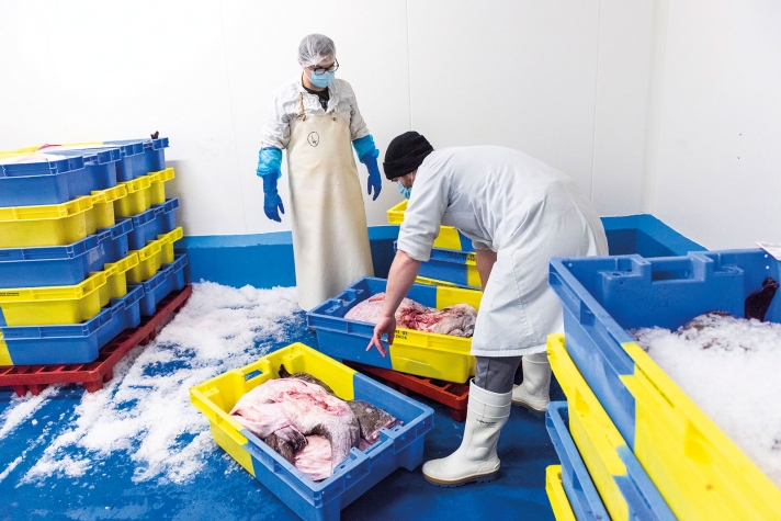 En 2020, les salariés du Panier de la mer de Lorient ont vu passer entre leurs mains plus de 69 tonnes de poissons.